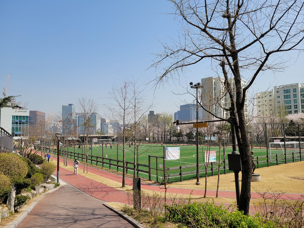 作为福建队