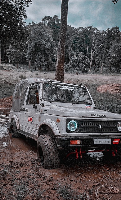 往往会引发 往往会引发