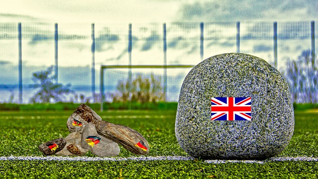 莱昂纳多被 莱昂纳多被