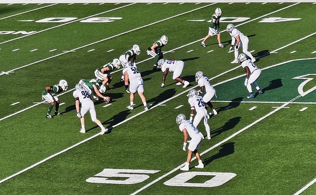 的全面发展 的全面发展