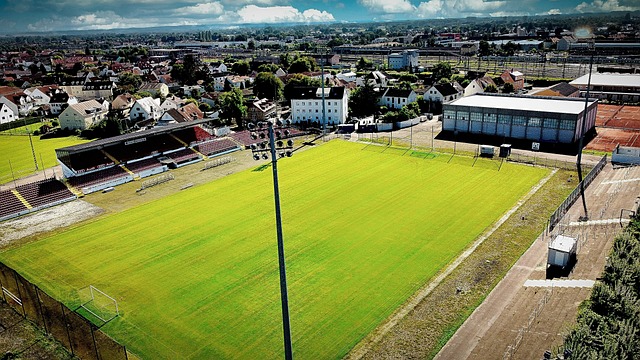 比赛中发挥 比赛中发挥