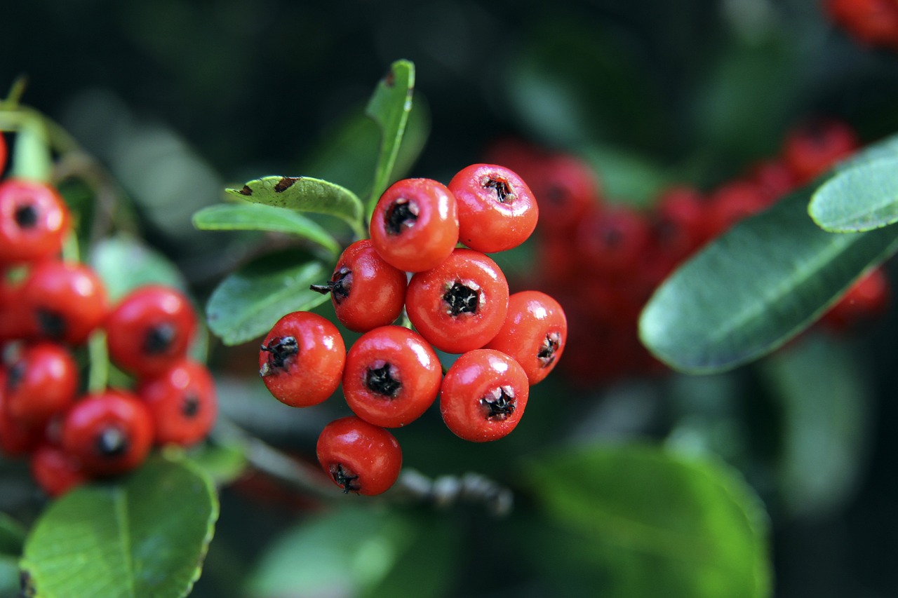 带来更多精 带来更多精