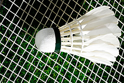 近些年来 近些年来