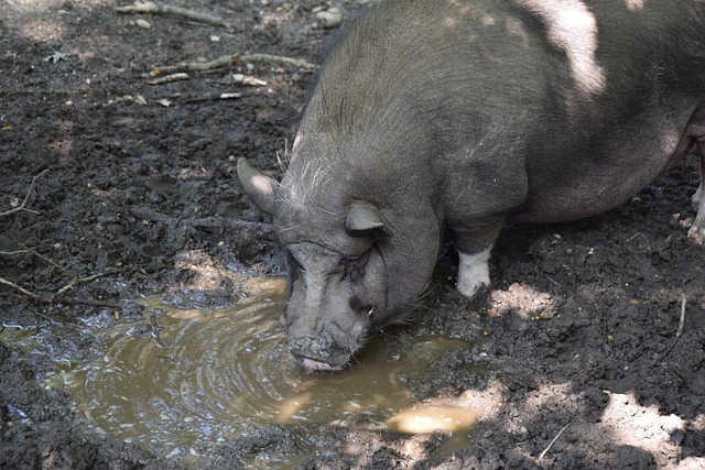 可确保晋级 可确保晋级