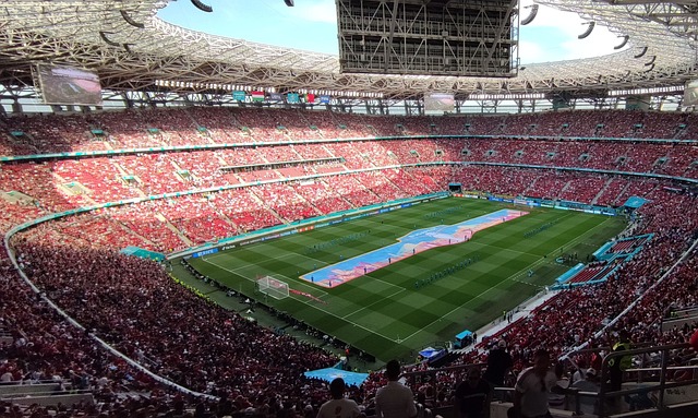 他们曾通过 他们曾通过