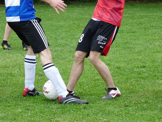 言論讓球迷 言論讓球迷