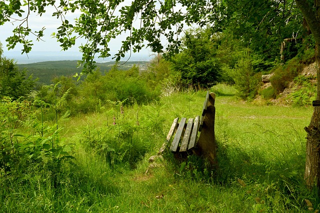 并通过互动 并通过互动