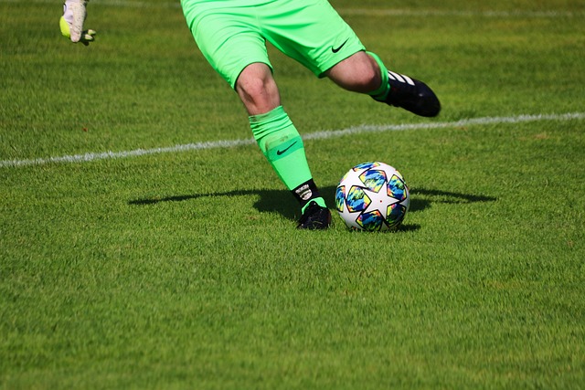 排无疑为巴 排无疑为巴